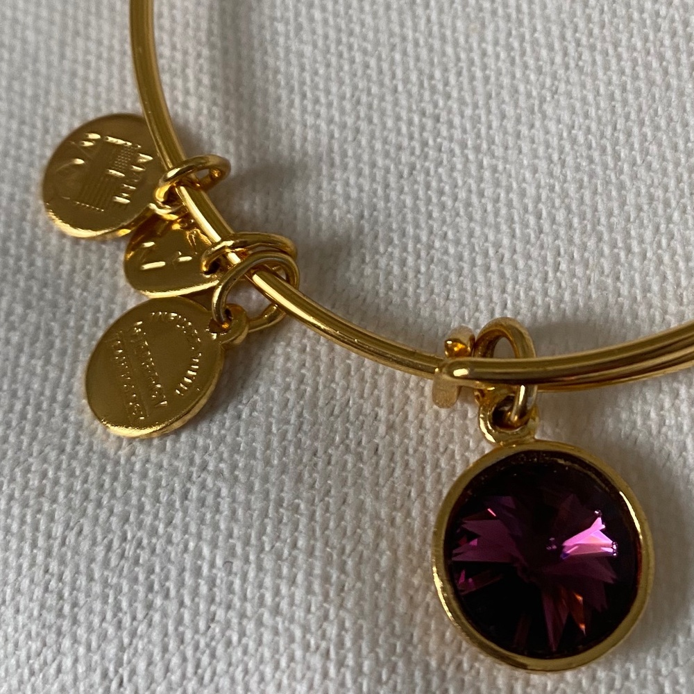 Alex + Ani amethyst charm bangle, Color: gold finish